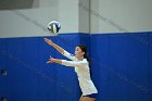 VB vs Salve  Wheaton Women’s Volleyball vs Salve Regina University. : volleyball